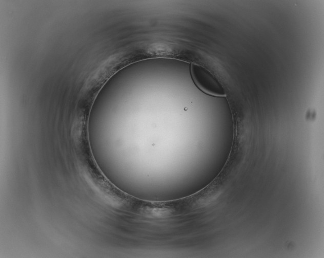 X0000111900645200907271159