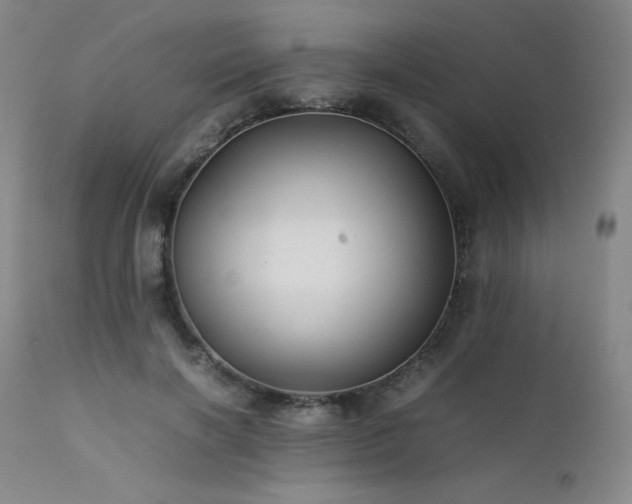 X0000111900646200907271159