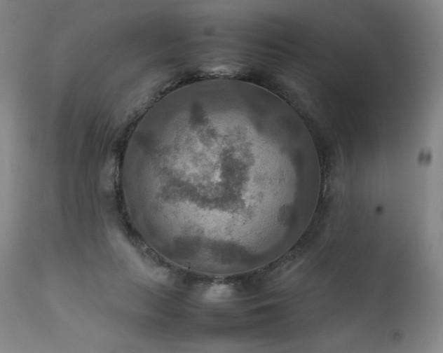 X0000111900647200907271159