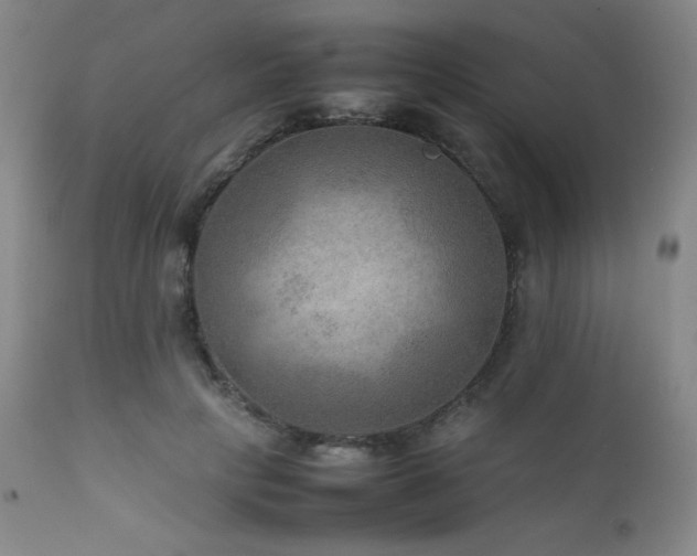 X0000111900649200907271159