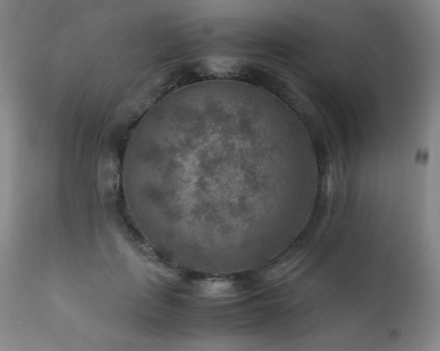 X0000111900651200907271159