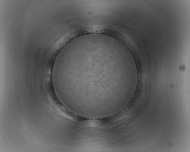 X0000111900652200907271159