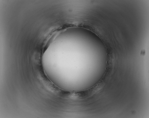 X0000111900656200907271159