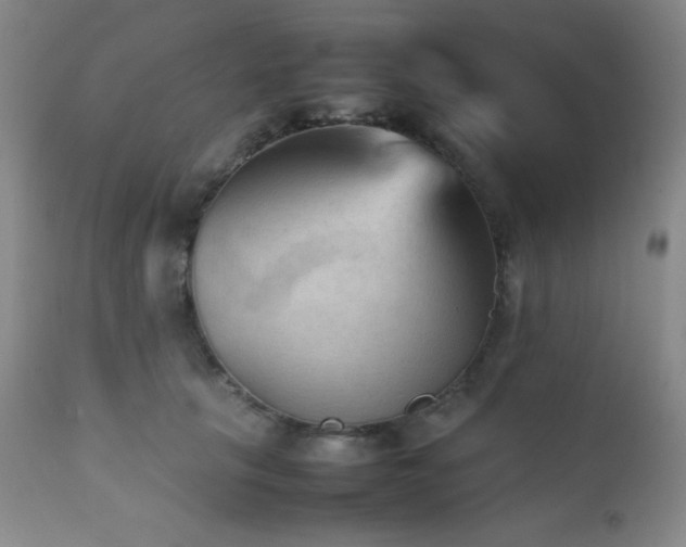 X0000111900657200907271159