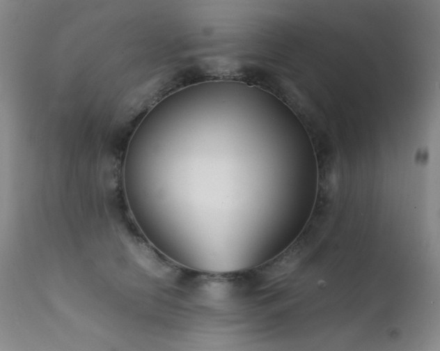 X0000111900658200907271159