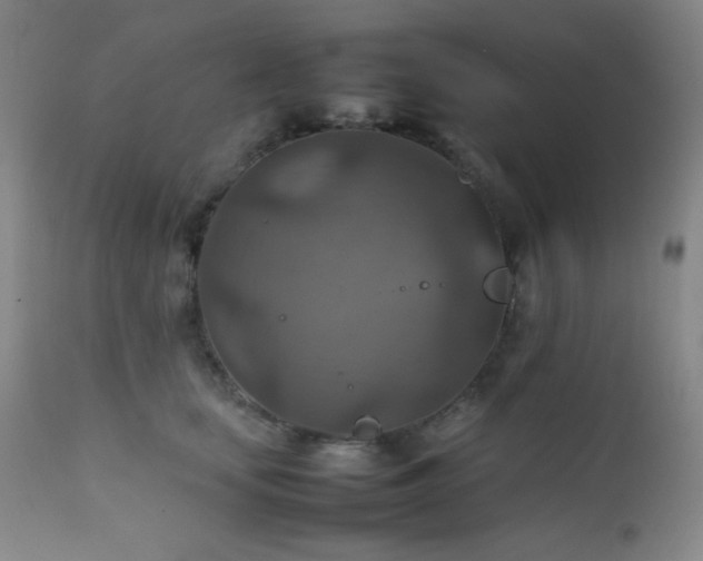 X0000111900659200907271159