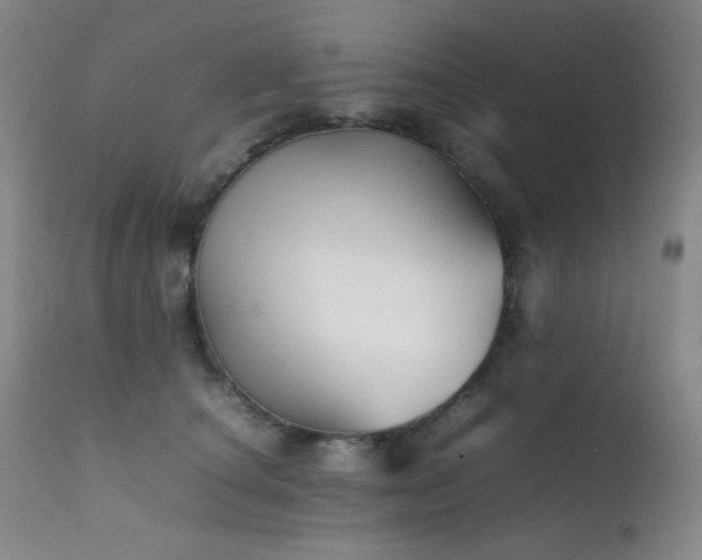 X0000111900660200907271159