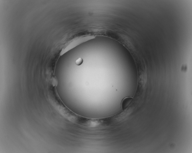 X0000111900662200907271159