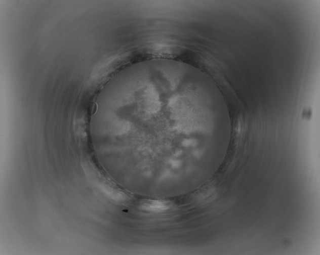 X0000111900663200907271159