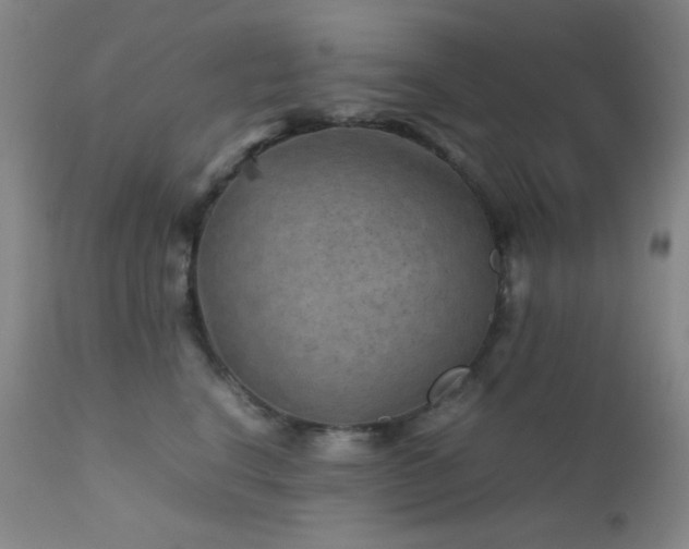 X0000111900664200907271159