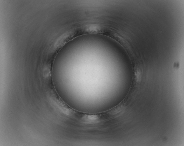 X0000111900665200907271159