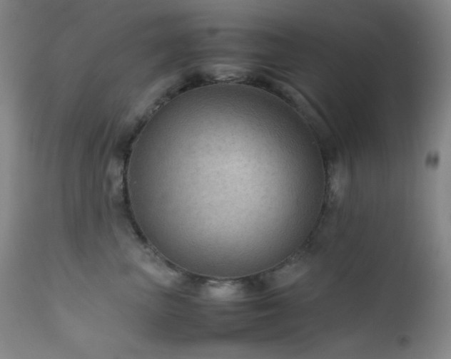 X0000111900667200907271159