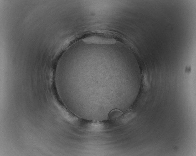 X0000111900668200907271159