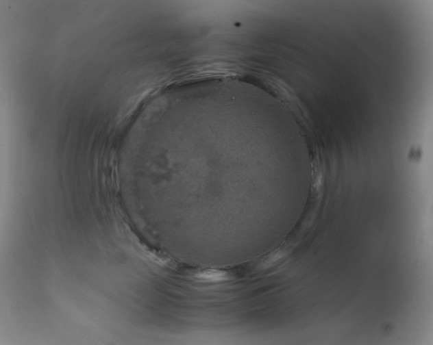 X0000111900669200907271159