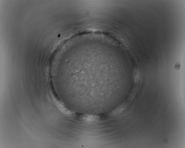 X0000111900670200907271159