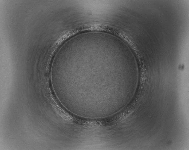 X0000111900673200907271158