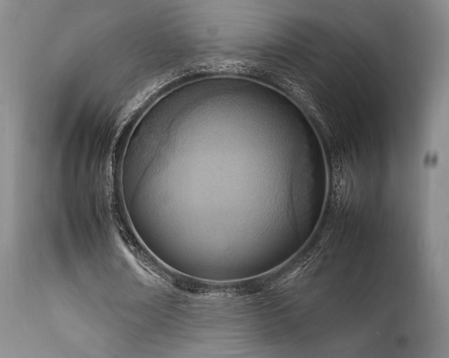 X0000111900674200907271158