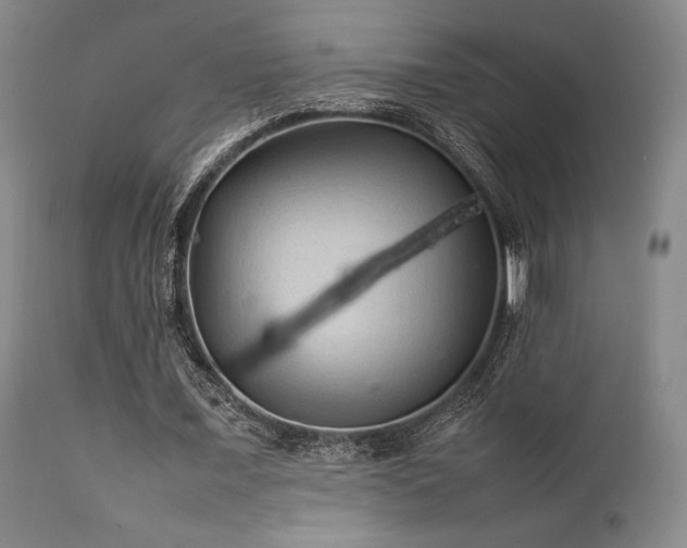 X0000111900675200907271158