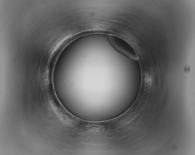 X0000111900676200907271158