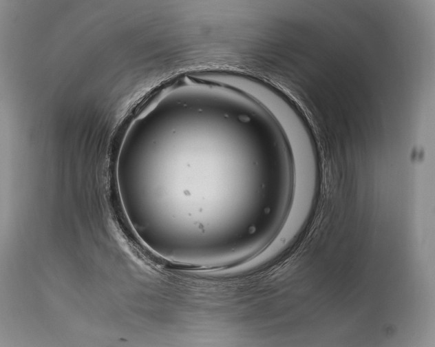 X0000111900677200907271158