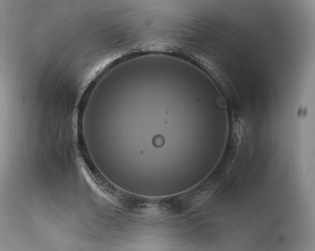 X0000111900678200907271158