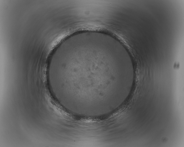 X0000111900679200907271158