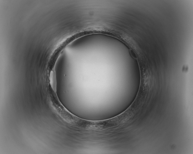 X0000111900680200907271158