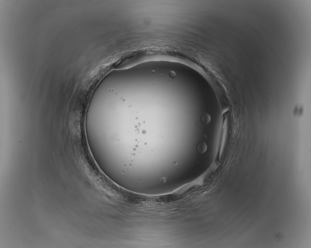 X0000111900681200907271158