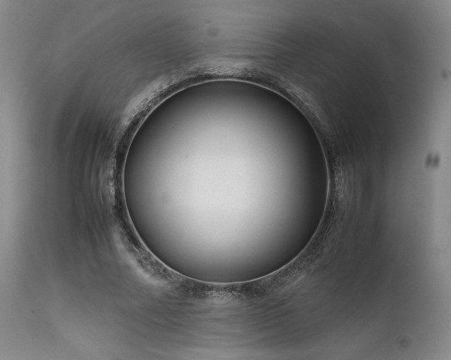 X0000111900682200907271158