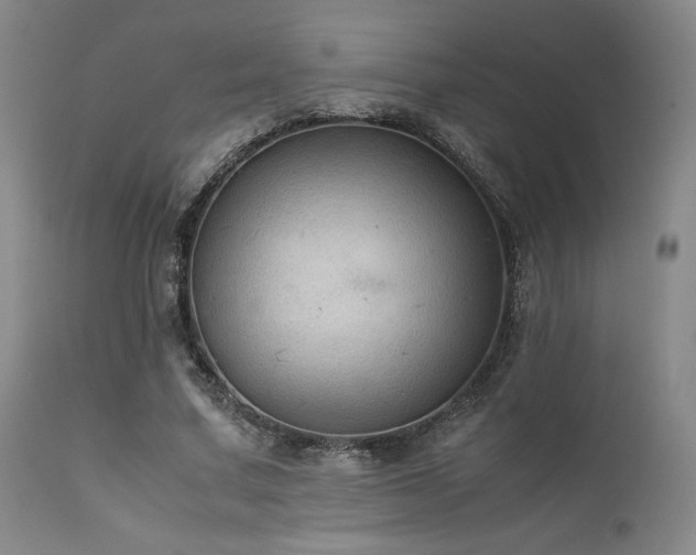 X0000111900683200907271158