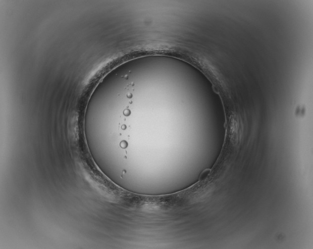 X0000111900684200907271158