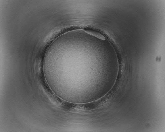 X0000111900685200907271158