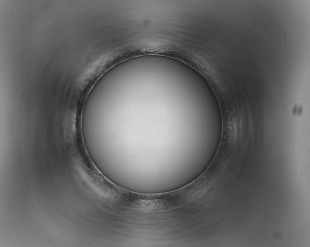 X0000111900686200907271158