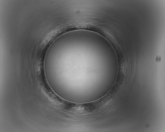 X0000111900687200907271158