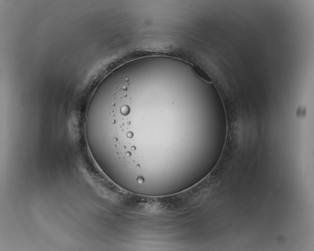 X0000111900688200907271158