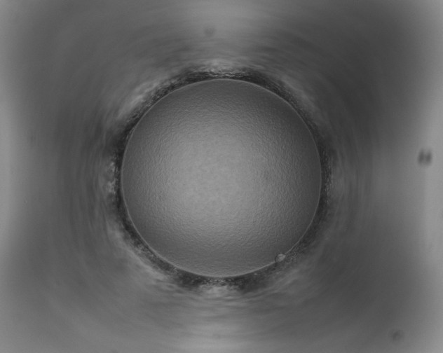 X0000111900689200907271158