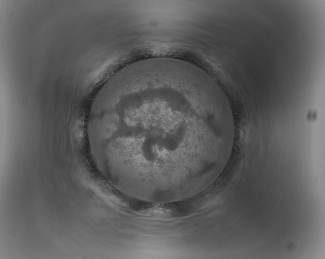 X0000111900691200907271158