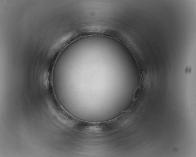 X0000111900692200907271158