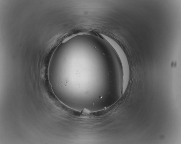 X0000111900693200907271158