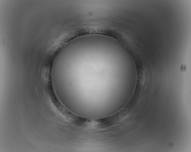 X0000111900695200907271158