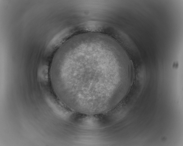 X0000111900696200907271158