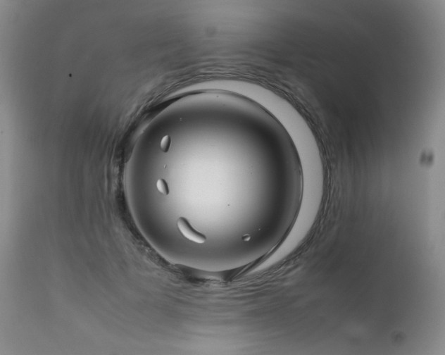 X0000111900697200907271158