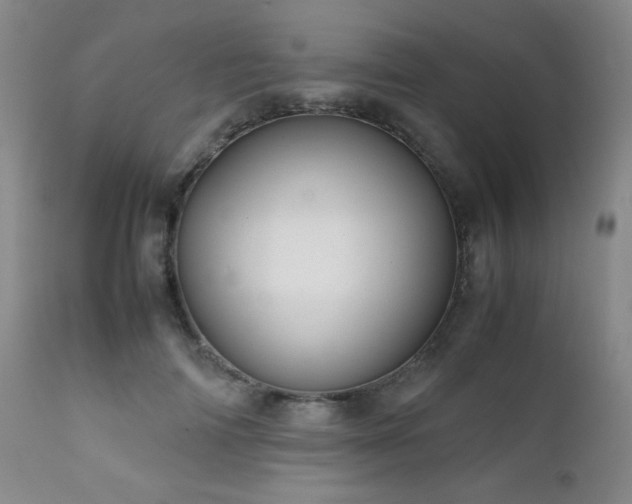 X0000111900698200907271158