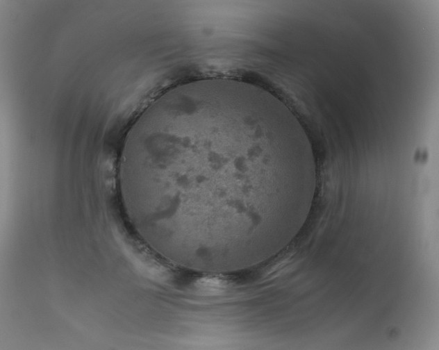 X0000111900699200907271158