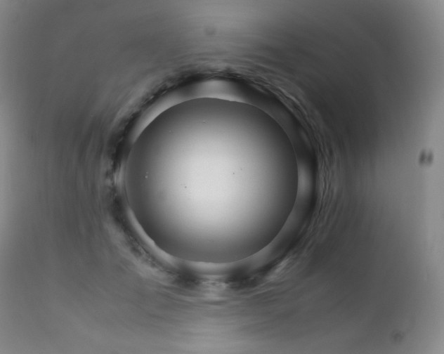 X0000111900701200907271158