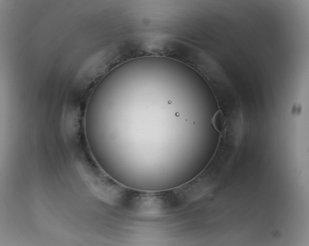 X0000111900702200907271158