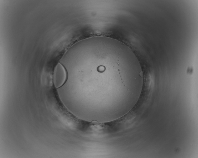 X0000111900703200907271158