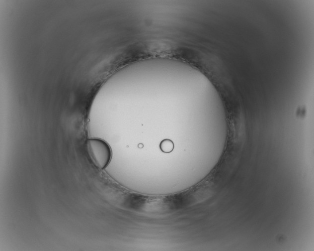 X0000111900705200907271158