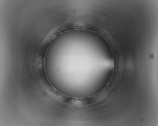 X0000111900706200907271158