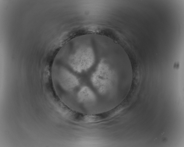 X0000111900707200907271158